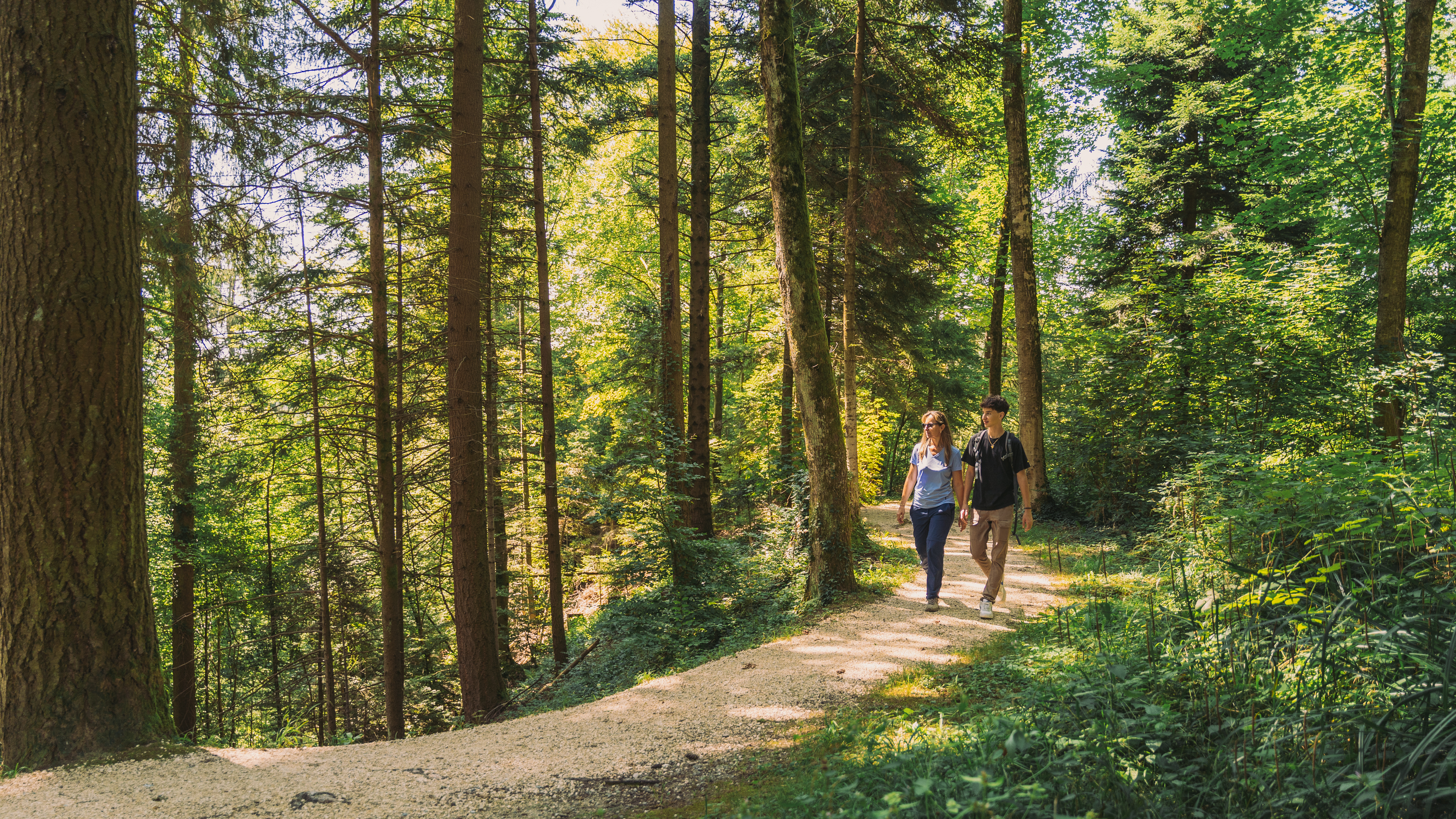 Pully Foret Ambiance 0022